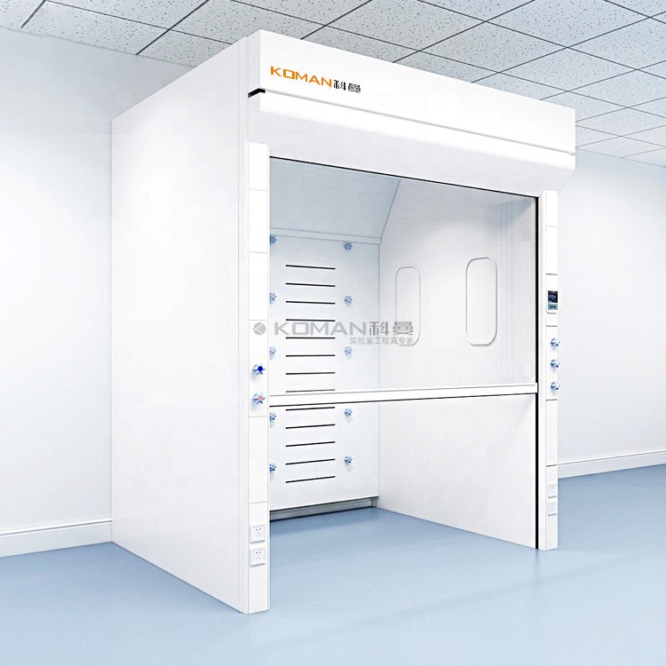 Chinese Laboratory Fume Hood Walk in Fume Hood