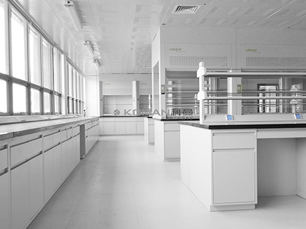 Resources Coatings Overall Decoration and Laboratory Construction Project