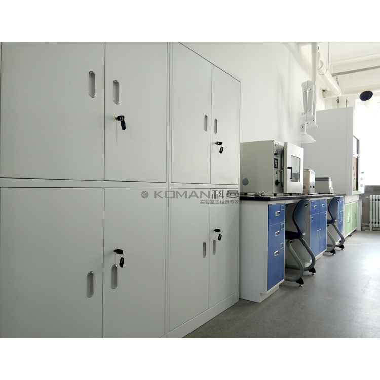 Laboratory Furniture Chemical Safety Storage Cabinet