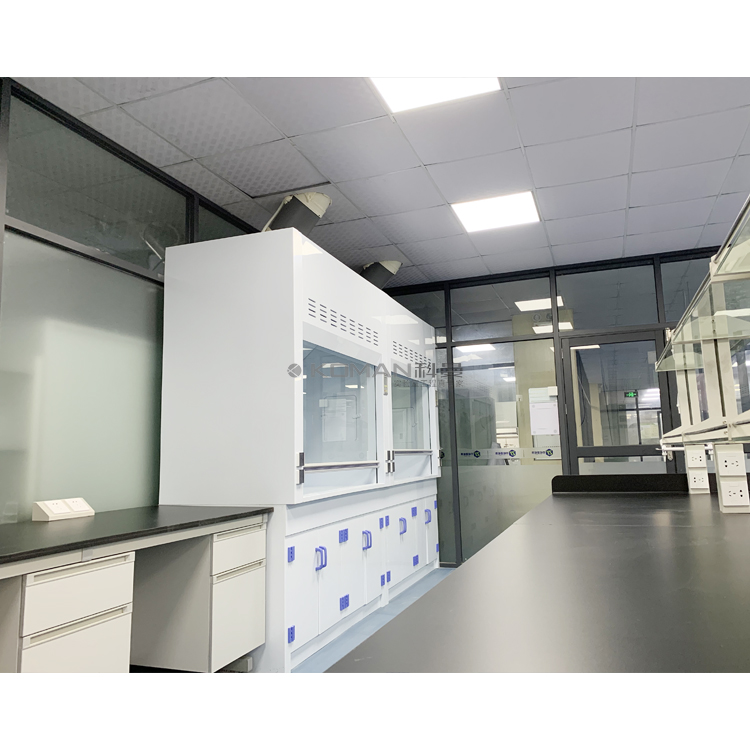 PP Fume Hood for Laboratory Equipment