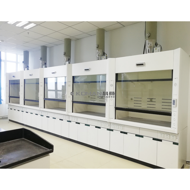 Laboratory Fume Hood Cupboard Exhaust Cabinet