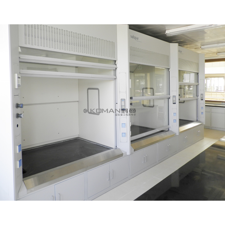 Customized Walk In Laboratory Fume Hood Machine