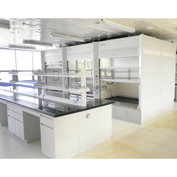 Customized Walk In Laboratory Fume Hood Machine