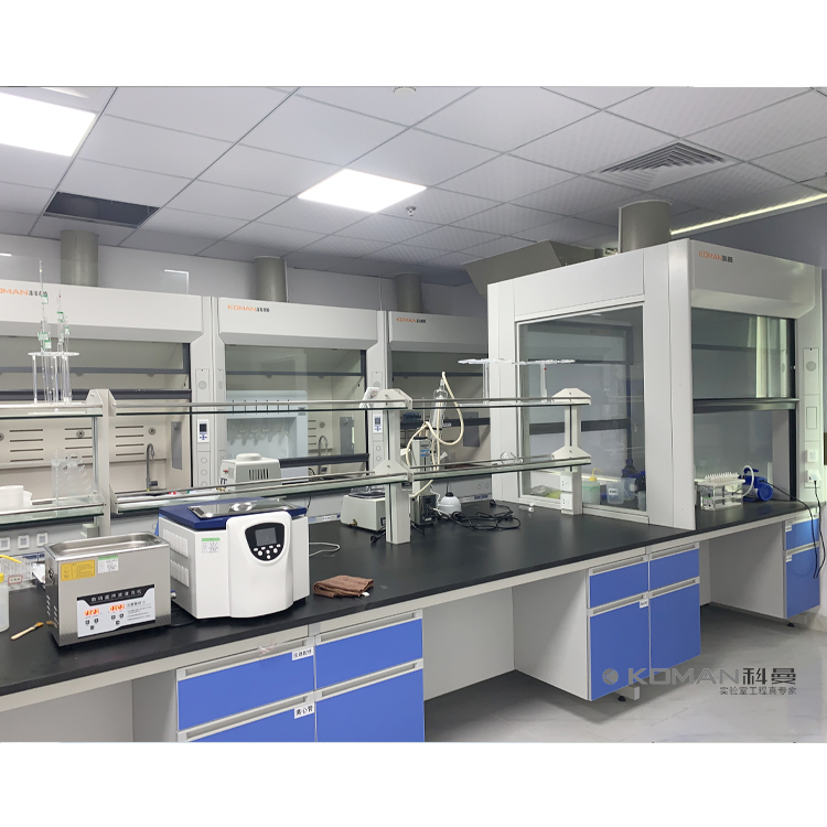 Fume Hood Fume Extraction Cabinet In the laboratory China
