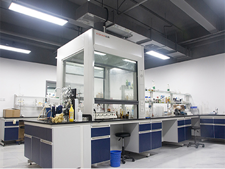 Changlong Technology Standardized Laboratory Construction Project